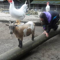 A visit to Eifel Park was a highlight