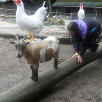 A visit to Eifel Park was a highlight