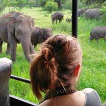 Elephant and Wildlife Conservation in Sri Lanka