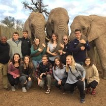 Garden Route elephants