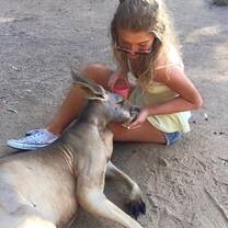 aussie
