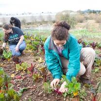 Women Gardening 