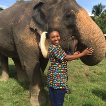 A dream come true! Caring for elephants
