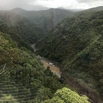 Kuranda