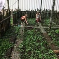 Gardening