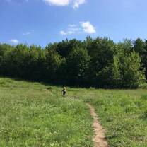 Exploring the forest nearest Berlin with a friend