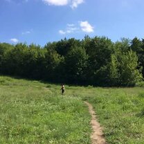 Exploring Teufelswald Exploring the forest nearest Berlin with a friend