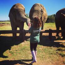 Feeding the elephants at the elephant sanctuary (they really love fruit!)