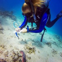 Surveying marine life 