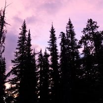 The pure beauty of nature