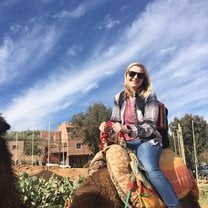 Camels in Morocco.