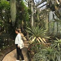 Surrounded by exotic plants while visiting the Botanischer Garten 