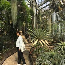 Visiting the Botanical Garden Surrounded by exotic plants while visiting the Botanischer Garten