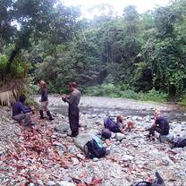 Jungle expeditions