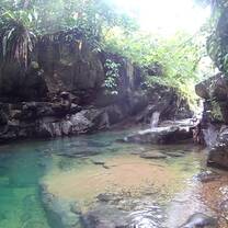More jungle