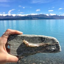 Lake Tekapo