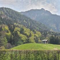 Green and mountains