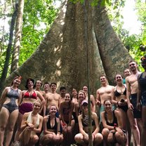 Jungle Trekking