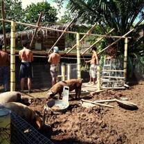 Building a pig pen
