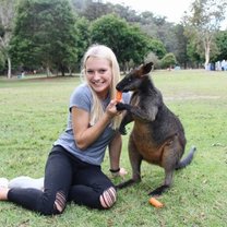 Hey little wallaby, want to be my friend?