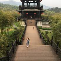 Picture of the teas mountain in Huzhou - This picture was taken while exploring the beautiful tea gardens in Huzhou. We also tasted different tea here, and learned a lot about the historical and cultural significance of tea. 