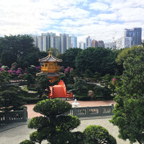 experiencing Hong Kong Hong Kong