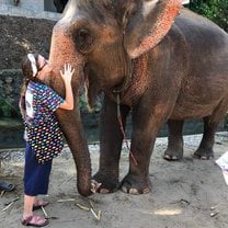 Kanta Elephant Sanctuary