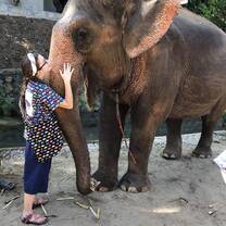 Kanta Elephant Sanctuary