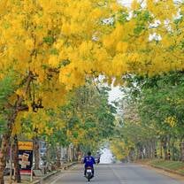 Street