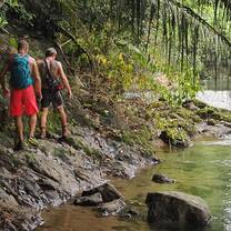 Jungle hike
