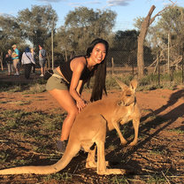 Interacted with kangaroos when traveling.