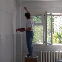 man painting a wall