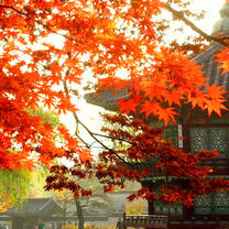 South Korea