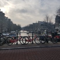 Trip pics 