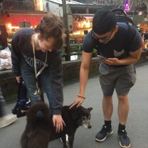 Dog petting, enough said. 