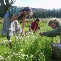 Volunteers in the garden 