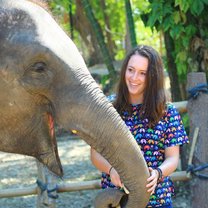 Chiang Mai, Thailand Elephant Sanctuary 