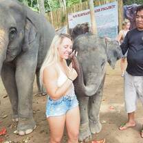 Baby Elephant Kissing Girl