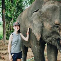 Elephant Village