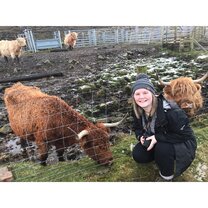 Visiting Highland Cows