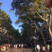 Barcelona street life