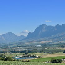 Cape Winelands (Paarl)