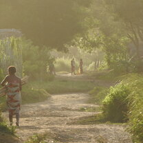 Path to the beach