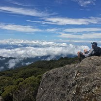 An IFSA field trip to Cerro de la Muerte!