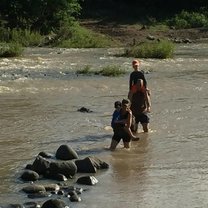 Crossing a river to get breakfast.