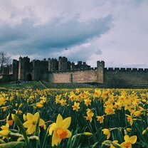 Gardens outside Alnwick Castle