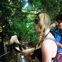 Meeting Capuchin monkeys in Parque Nacional Manuel Antonio!