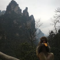 Zhongjiajie National Forest Park (Avatar Mountains)