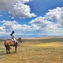 Horse trekking