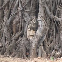 Ayutthaya, Wat Mahathat
